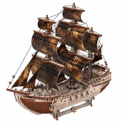  Pirate ship "Mad Treasure"